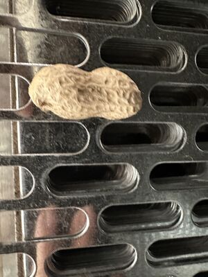 304 Slotted Stainless Steel Sheet Oblong Holes Filtration Custom Sizes