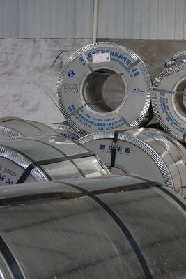 Cold Galvanized Perforated Coil for Livestock Breeding Equipment Protection